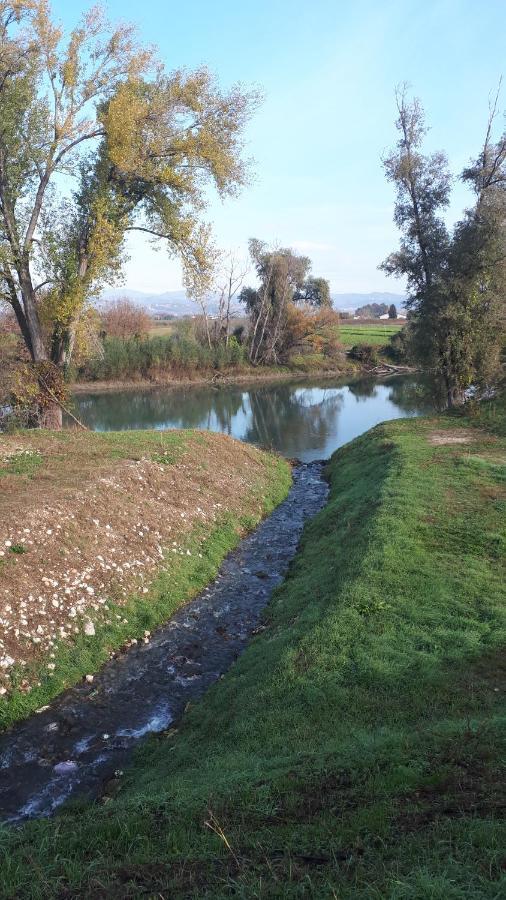 Sulla Ciclabile Apartment Lungo Il Fiume Adige Zevio المظهر الخارجي الصورة