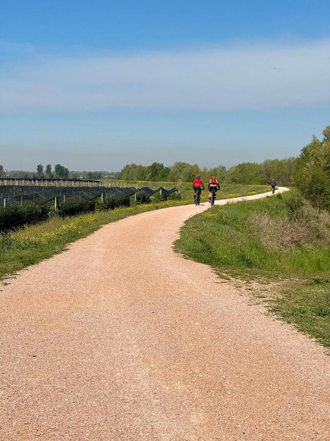 Sulla Ciclabile Apartment Lungo Il Fiume Adige Zevio المظهر الخارجي الصورة